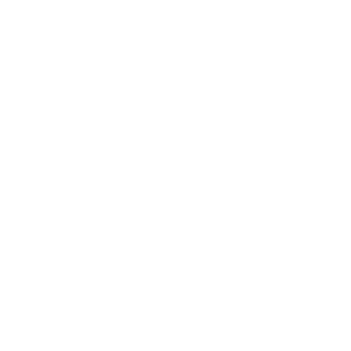 NEV