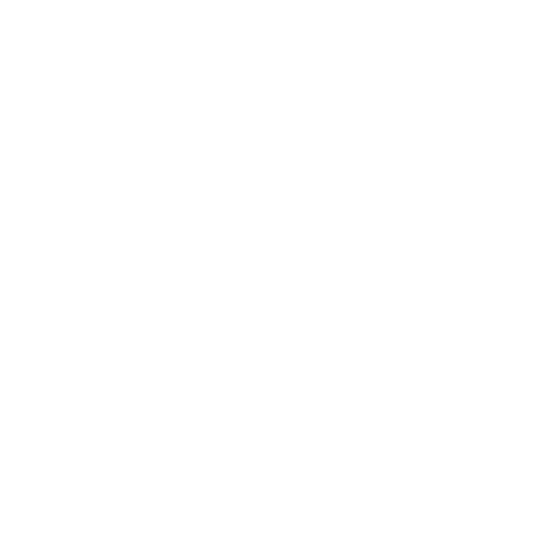 TEM